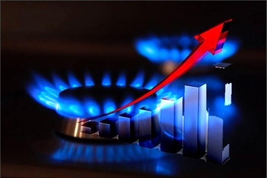 مصرف ۷۴ درصدی گاز کشور در بخش خانگی و تجاری